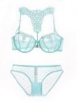 Dark Angels Embroidered Floral Sexy Bra & Brief Set With Underwire – Sea Green