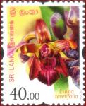 Sri Lanka 2016-10-07 Flowers Of Sri Lanka – Luisia Teretifolia Stamp – Rs 40.00