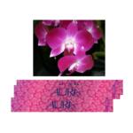 Aura Incense Sticks – Orchid (L)